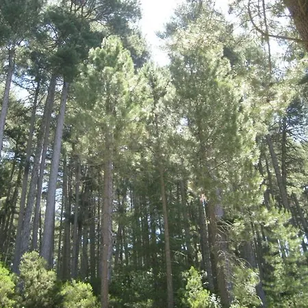 La Chataigneraie Evisa