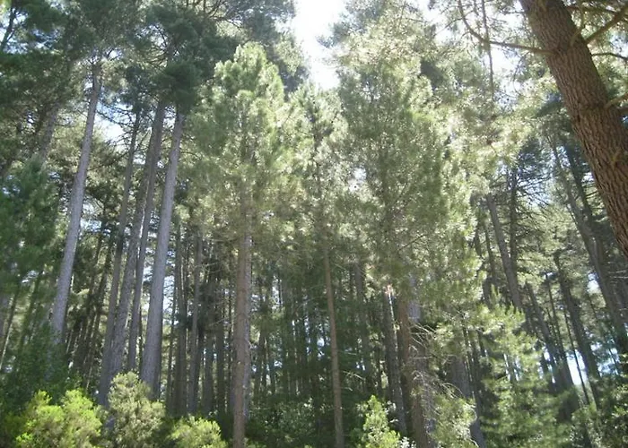 La Chataigneraie 埃维萨