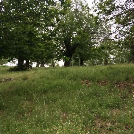 La Chataigneraie Evisa