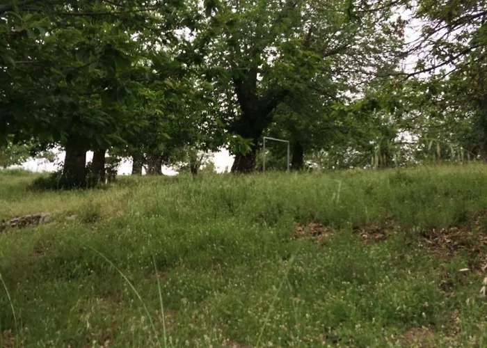 La Chataigneraie Evisa